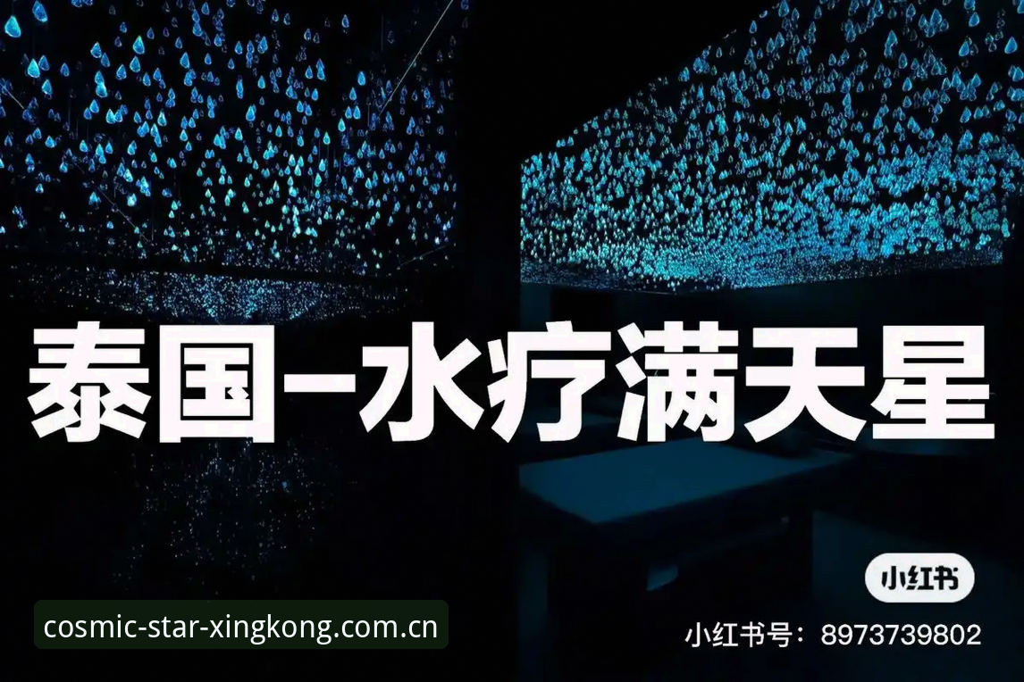 资深用户分享:星空体育中国官网使用心得与实战经验