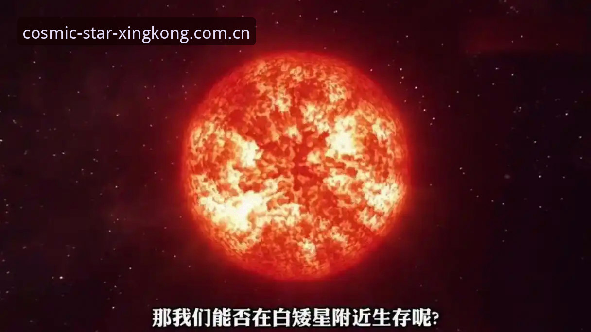 星空体育最新版下载对比 星空体育最新版下载对比:5个关键维度帮你快速决策